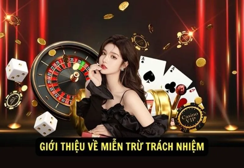 Tổng quan về miễn trừ trách nhiệm 